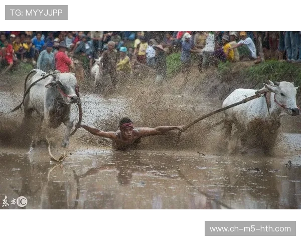 公牛陷重建泥潭